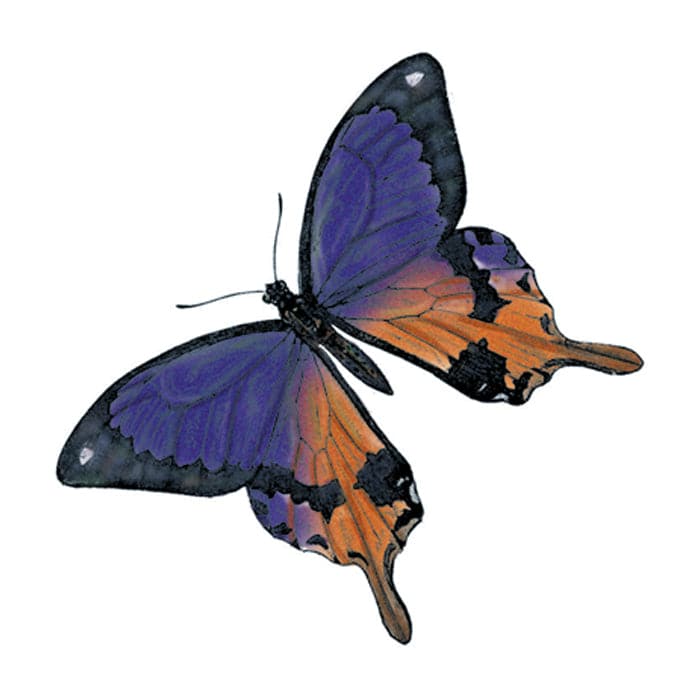 Collection of Purple Butterfly Promotional Product Tattoo 1.5 in x 1.5 in in a gallery layout