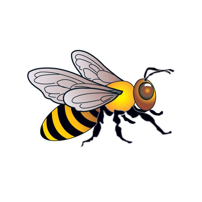 Collection of Bee Promotional Product Tattoo 1.5 in x 1.5 in in a gallery layout