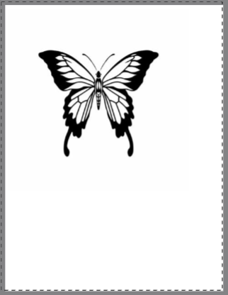 California Tattoos & Promotional Products