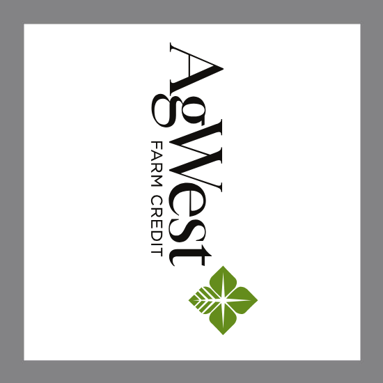 California Tattoos & Promotional Products