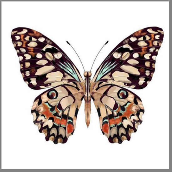 California Tattoos & Promotional Products