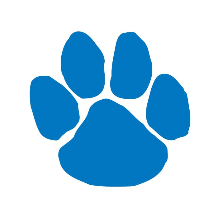 Collection of Small Blue Paw Print Promotional Product Tattoo 1.5 in x 1.5 in in a gallery layout