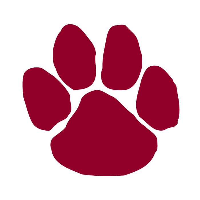 Collection of Maroon Paw Print Promotional Product Tattoo 1.5 in x 1.5 in in a gallery layout