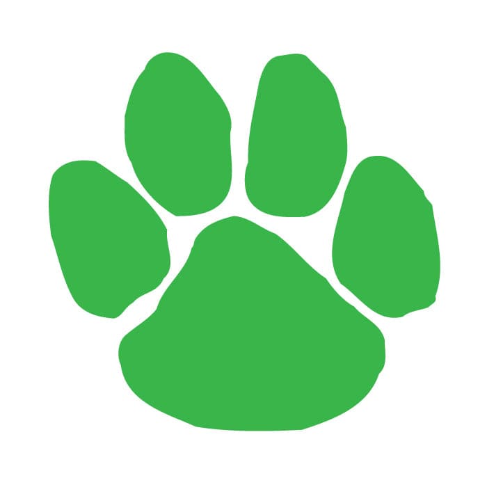 Collection of Green Paw Print Promotional Product Tattoo 1.5 in x 1.5 in in a gallery layout
