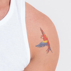 Collection of Flying Macaw 50 Ct in a gallery layout