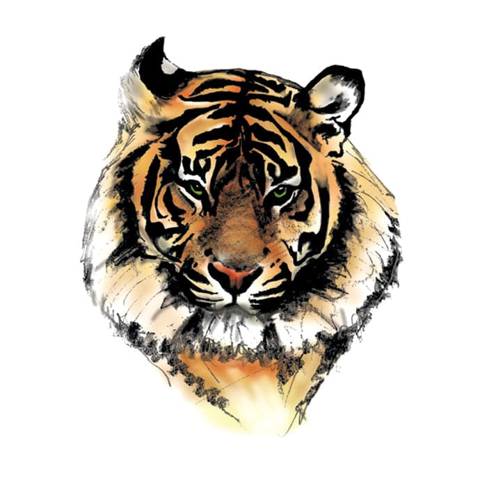 Collection of Tiger Face Promotional Product Tattoo 2 in x 2 in in a gallery layout
