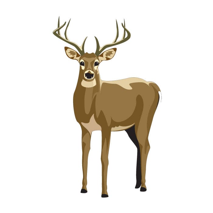 Collection of Deer Promotional Product Tattoo 2 in x 2 in in a gallery layout