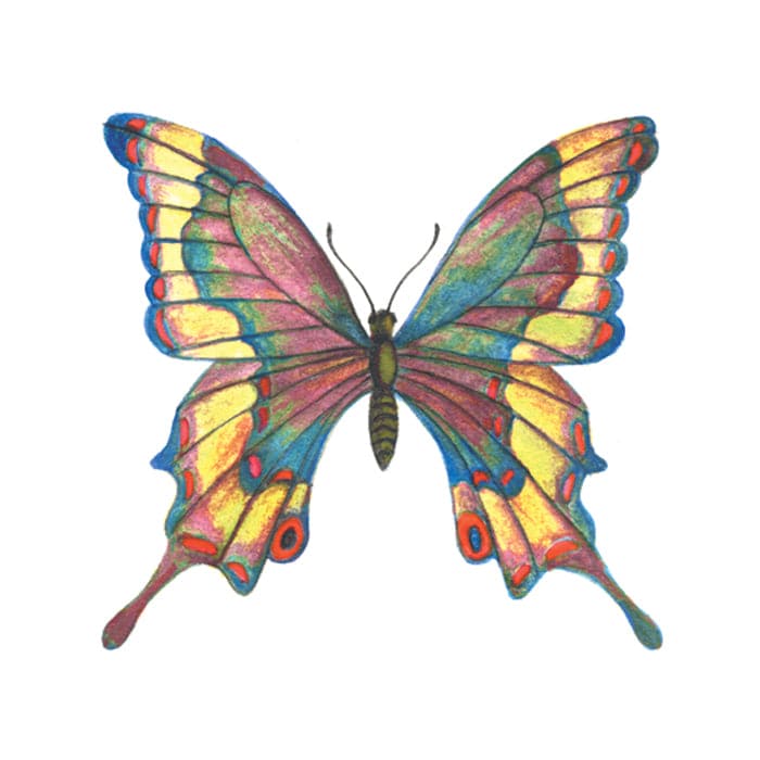 Collection of Detailed Stained Glass Butterfly Promotional Product Tattoo 2 in x 2 in in a gallery layout