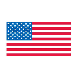 Collection of American Flag Team USA Promotional Product Tattoo 2 in x 1.5 in in a gallery layout