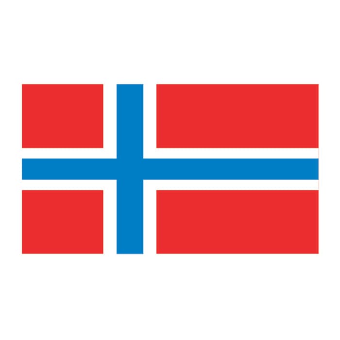 Collection of Norway Flag Promotional Product Tattoo 2 in x 1.5 in in a gallery layout