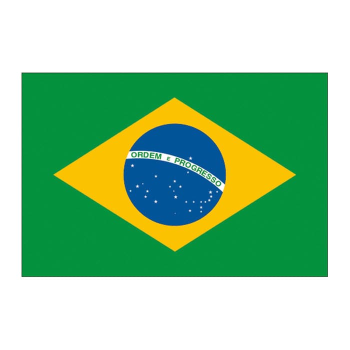 Collection of Brazil Flag Promotional Product Tattoo 2 in x 1.5 in in a gallery layout
