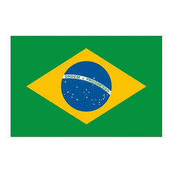 Collection of Brazil Flag Promotional Product Tattoo 2 in x 1.5 in in a gallery layout