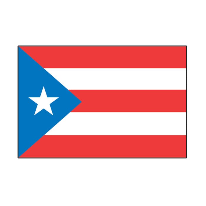 Collection of Puerto Rico Country Flag Promotional Product Tattoo 2 in x 1.5 in in a gallery layout