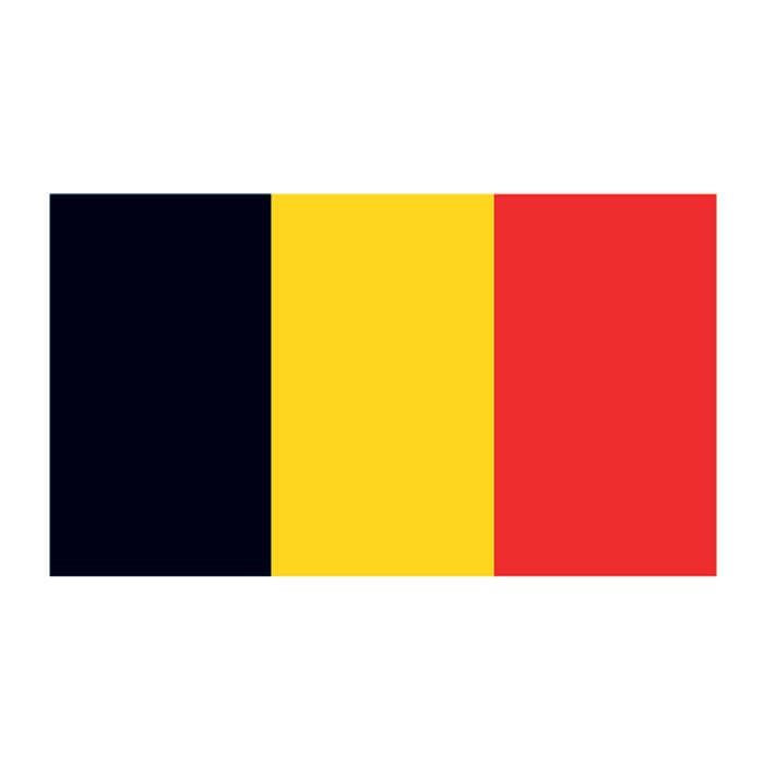 Collection of Belgium Flag Promotional Product Tattoo 2 in x 1.5 in in a gallery layout
