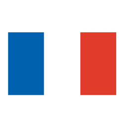 Collection of France Flag Promotional Product Tattoo 2 in x 1.5 in in a gallery layout