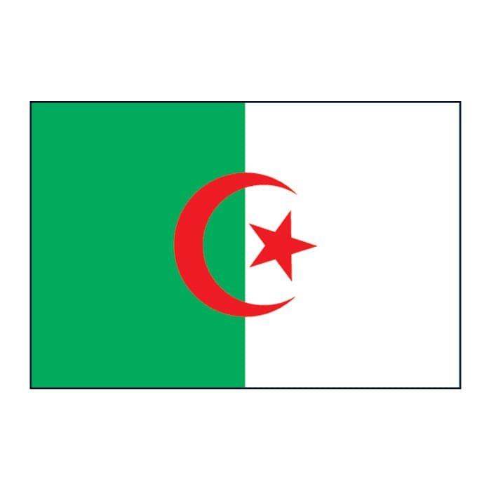 Collection of Algeria Flag Promotional Product Tattoo 2 in x 1.5 in in a gallery layout