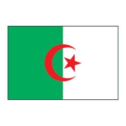 Collection of Algeria Flag Promotional Product Tattoo 2 in x 1.5 in in a gallery layout