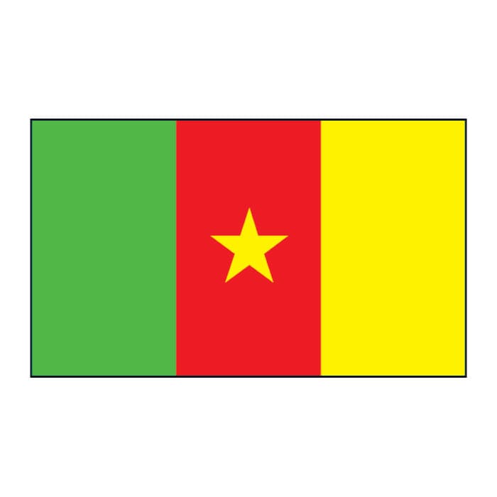 Collection of Cameroon Flag Promotional Product Tattoo 2 in x 1.5 in in a gallery layout