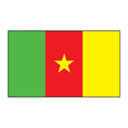 Collection of Cameroon Flag Promotional Product Tattoo 2 in x 1.5 in in a gallery layout