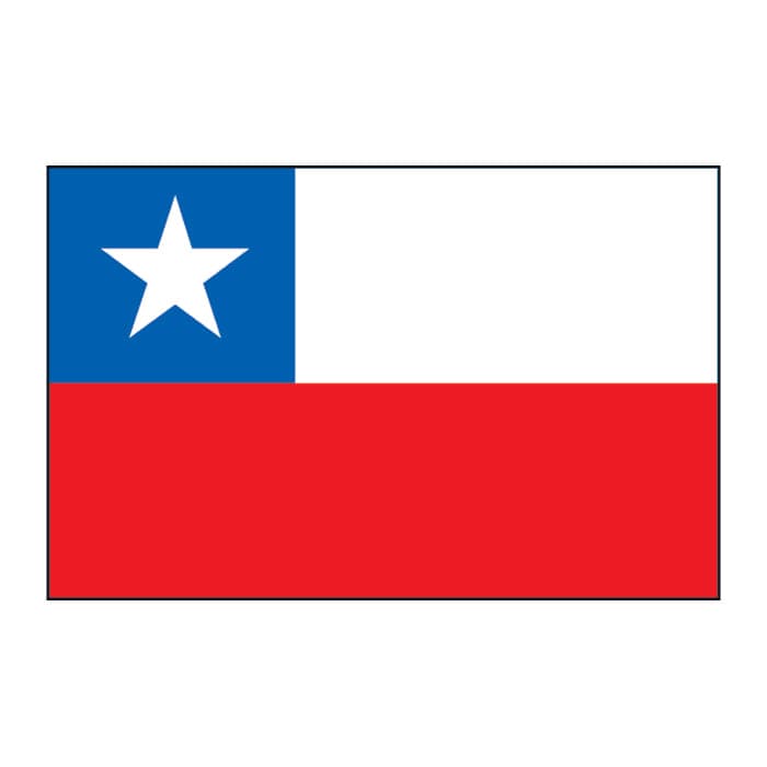 Collection of Chile Flag Promotional Product Tattoo 2 in x 1.5 in in a gallery layout