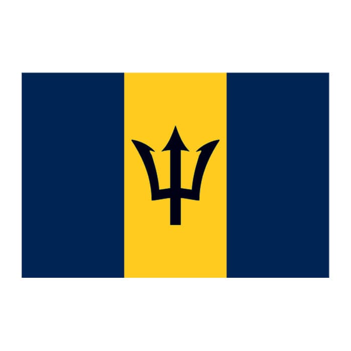 Collection of Barbados Flag Promotional Product Tattoo 2 in x 1.5 in in a gallery layout
