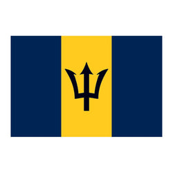 Collection of Barbados Flag Promotional Product Tattoo 2 in x 1.5 in in a gallery layout