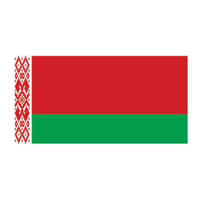 Collection of Belarus Flag Promotional Product Tattoo 2 in x 1.5 in in a gallery layout