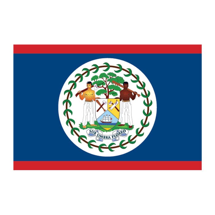 Collection of Belize Flag Promotional Product Tattoo 2 in x 1.5 in in a gallery layout