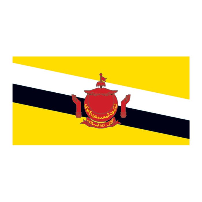 Collection of Brunei Flag Promotional Product Tattoo 2 in x 1.5 in in a gallery layout