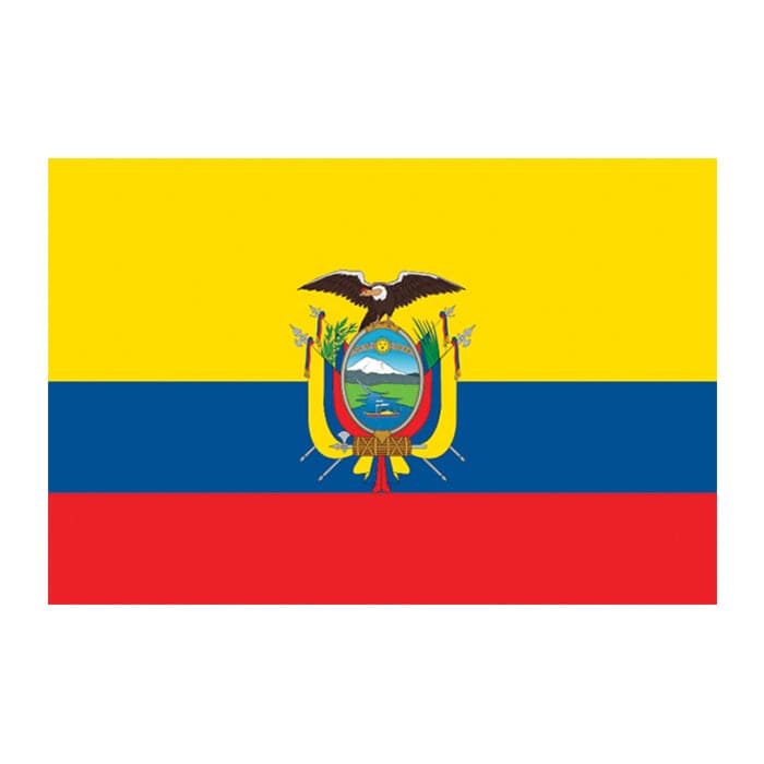 Collection of Flag of Ecuador Promotional Product Tattoo 2 in x 1.5 in in a gallery layout