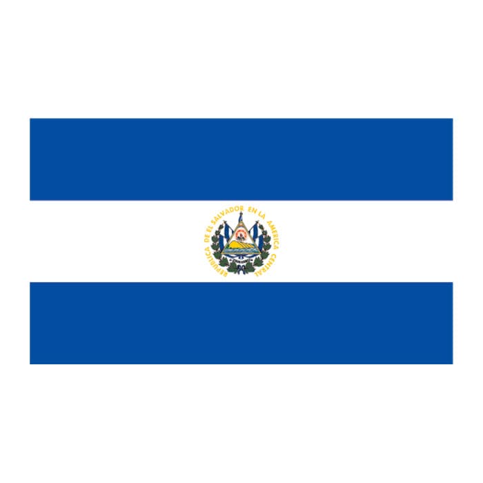 Collection of Flag of El Salvador Promotional Product Tattoo 2 in x 1.5 in in a gallery layout