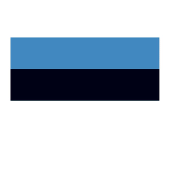 Collection of Estonia Flag Promotional Product Tattoo 2 in x 1.5 in in a gallery layout