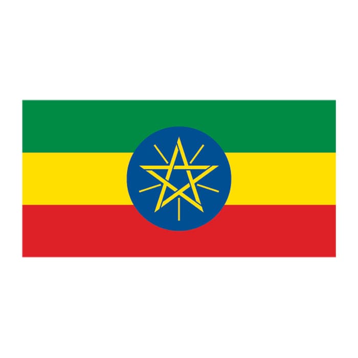 Collection of Flag of Ethiopia Promotional Product Tattoo 2 in x 1.5 in in a gallery layout