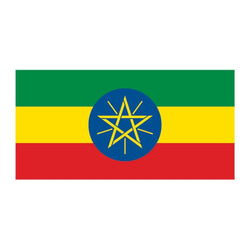 Collection of Flag of Ethiopia Promotional Product Tattoo 2 in x 1.5 in in a gallery layout