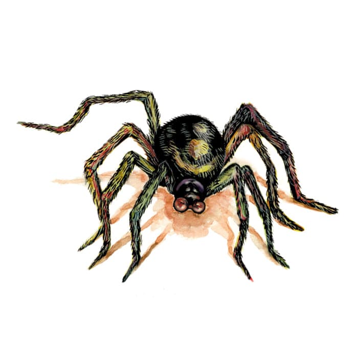 Collection of Brown Spider Promotional Product Tattoo 2 in x 2 in in a gallery layout