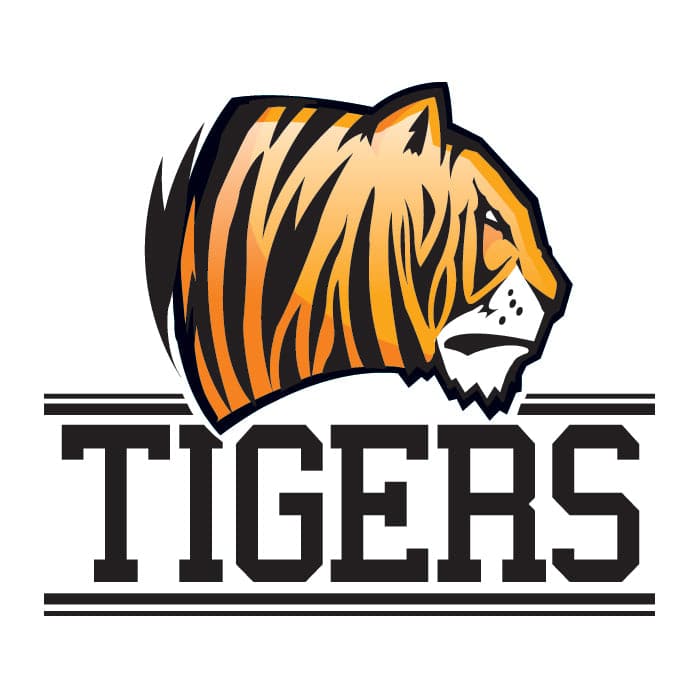 Collection of Tigers Team Promotional Product Tattoo 2 in x 2 in in a gallery layout