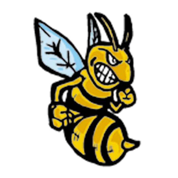 Collection of Hornets Promotional Product Tattoo 2 in x 2 in in a gallery layout