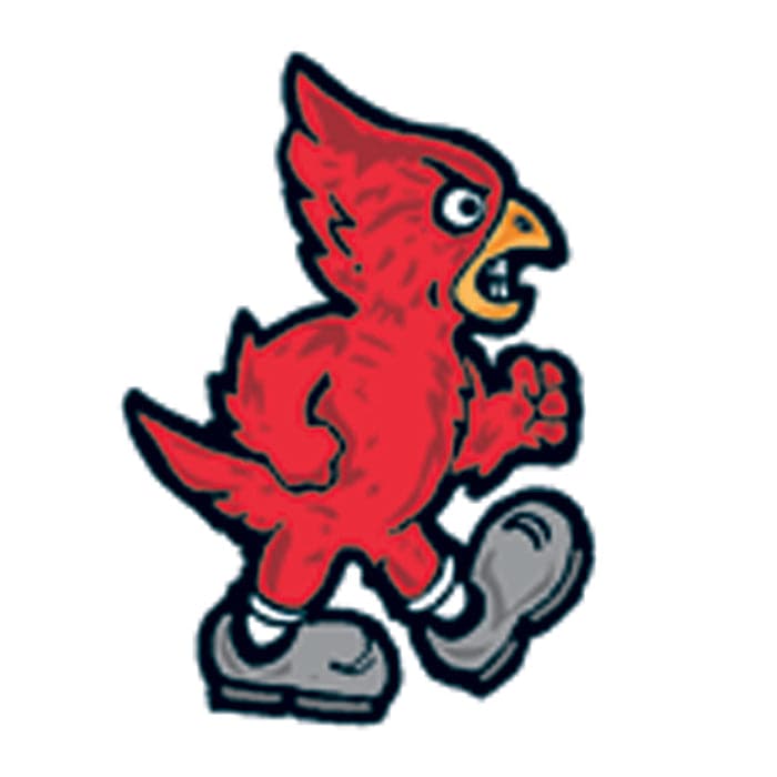 Collection of Cardinal Promotional Product Tattoo 2 in x 2 in in a gallery layout