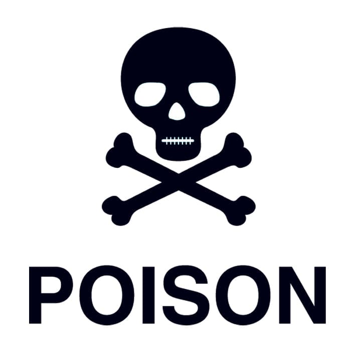 Collection of Poison Skull Promotional Product Tattoo 2 in x 2 in in a gallery layout