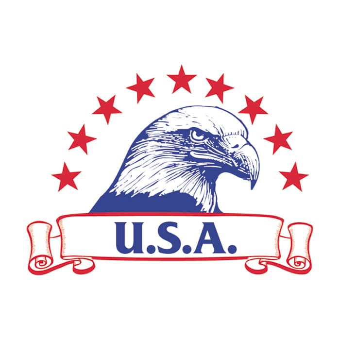 Collection of USA Eagle Promotional Product Tattoo 2 in x 2 in in a gallery layout