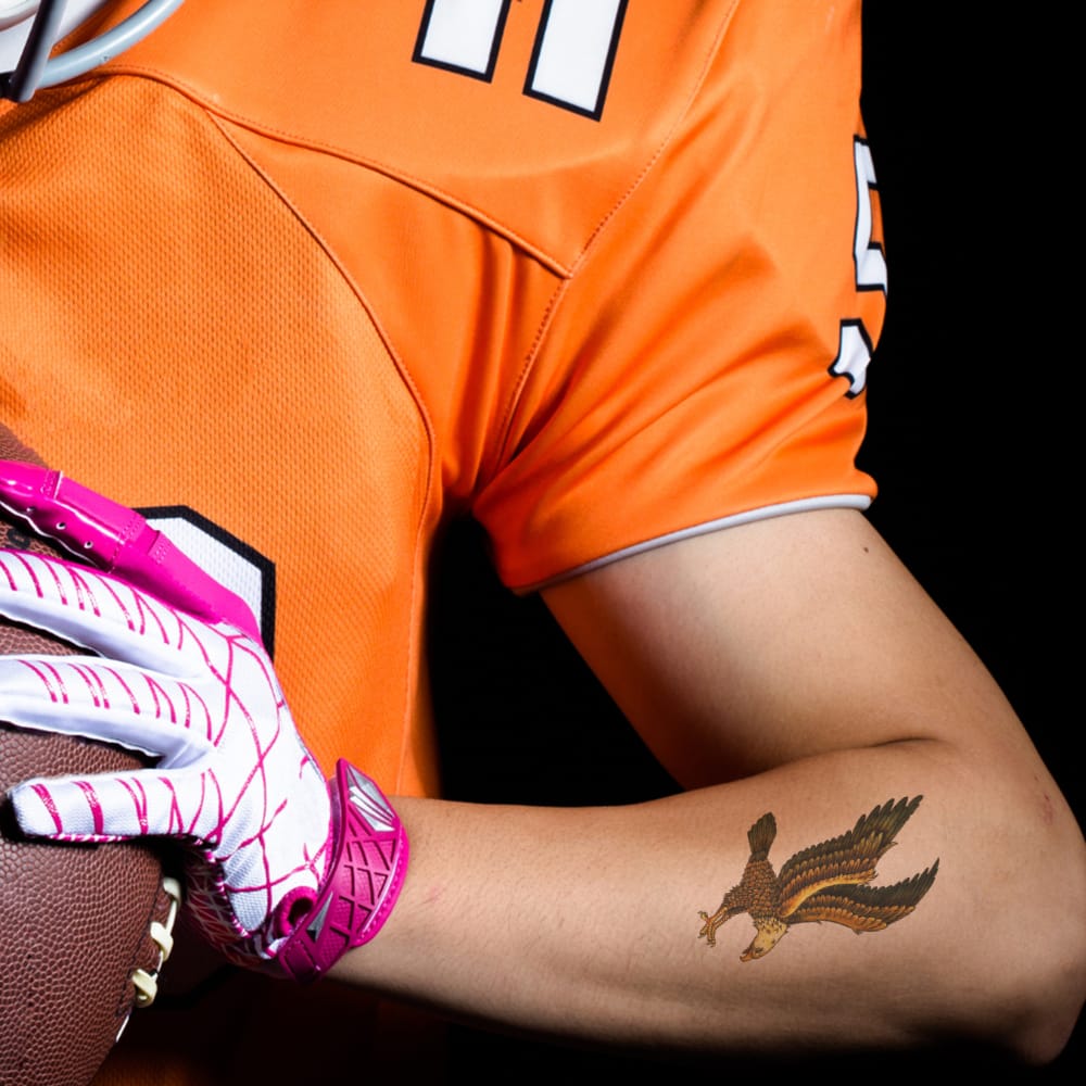 Collection of  in a gallery layout