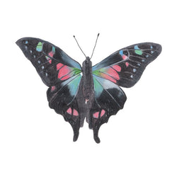 Collection of Nightshade Butterfly Promotional Product Tattoo 3.5 in x 2.5 in in a gallery layout