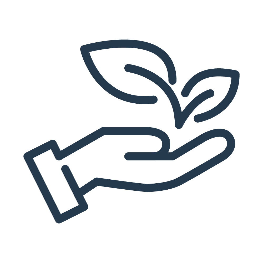 Collection of  in a gallery layout