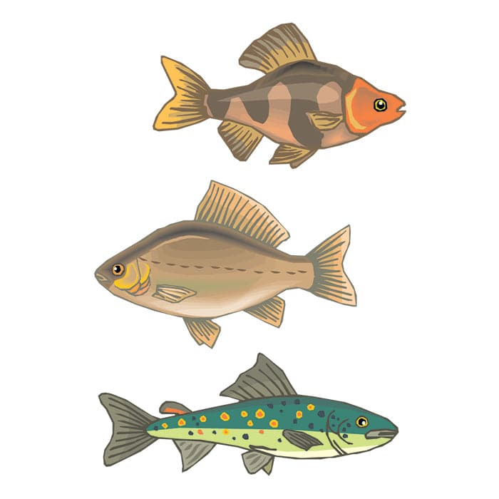 Collection of Set of 3 Fish Promotional Product Tattoo 3.5 in x 2.5 in in a gallery layout