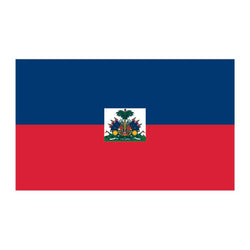Collection of Flag of Haiti Promotional Product Tattoo 2 in x 1.5 in in a gallery layout