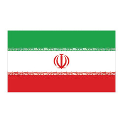 Collection of Iran Flag Promotional Product Tattoo 2 in x 1.5 in in a gallery layout