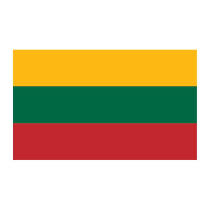 Collection of Flag of Lithuania Promotional Product Tattoo 2 in x 1.5 in in a gallery layout