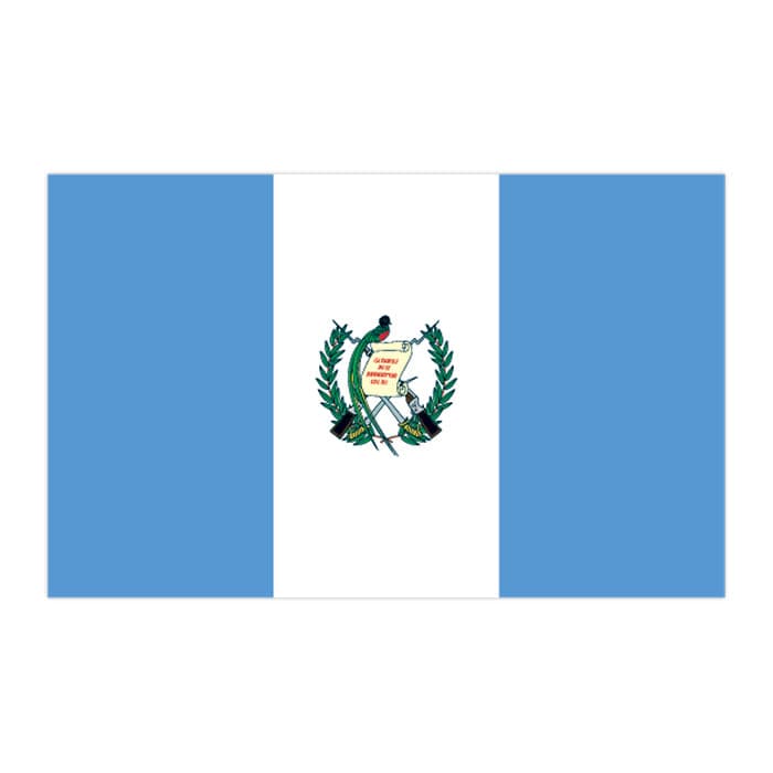 Collection of Flag of Guatemala Promotional Product Tattoo 2 in x 1.5 in in a gallery layout