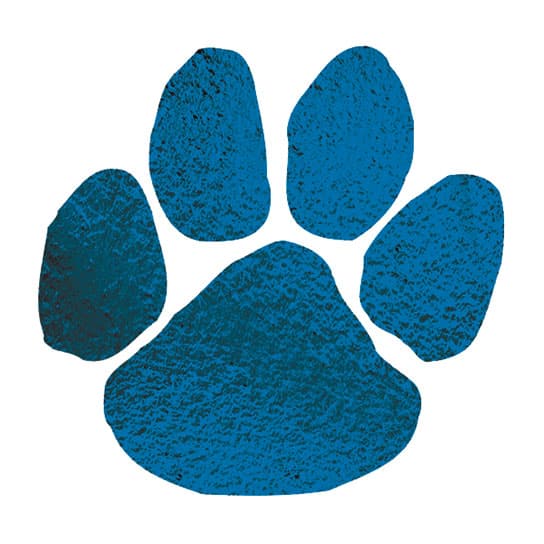 Collection of Metallic Navy Blue Paw Promotional Product Tattoo 2 in x 2 in in a gallery layout