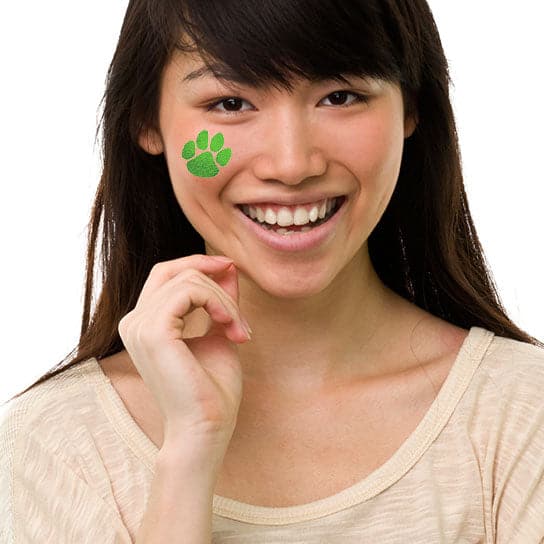 Collection of  in a gallery layout